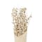 41" Cream Dried Natural Foliage Bouquet with Brown Stems